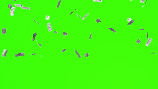 Money Rain Animated 100 Dollar Bills Falling Green Screen Chroma — Stock Video