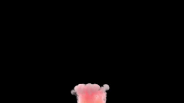 Pink Rose Oktan Smoke Effekt Steigt Auf Schwarzem Hintergrund Animation — Stockvideo