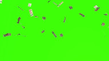 Kanada Doları Yeşil ekrana düşüyor