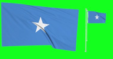 Yeşil ekran Somali iki bayrak Somali bayrak direği animasyon 3d kroma anahtarı