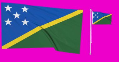 Yeşil ekran Solomon Adaları iki bayrak sallıyor adalı bayrak direği animasyonu 3d chr