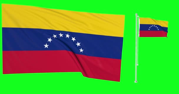 Pantalla Verde Venezuela Dos Banderas Ondeando Viento Venezolano Asta Bandera — Vídeo de stock