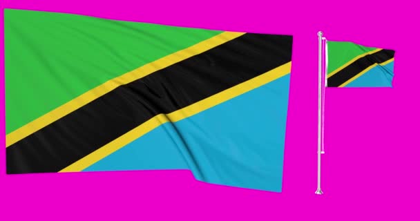 Pantalla Verde Tanzania Dos Banderas Ondeando Tanzanian Flagpole Animación Chroma — Vídeo de stock