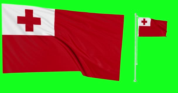 Tela Verde Tonga Duas Bandeiras Acenando Tongan Flagpole Animação Chave — Vídeo de Stock