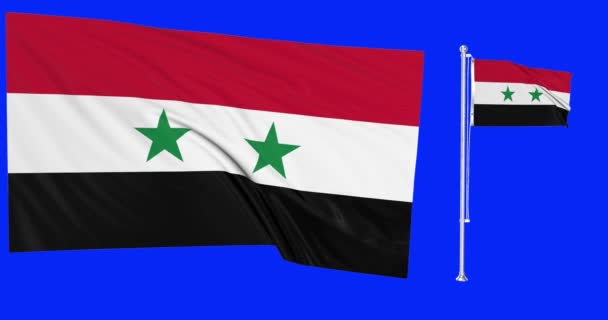 Schermo Verde Siria Due Bandiere Che Sventolano Bandiera Siriana Animazione — Video Stock
