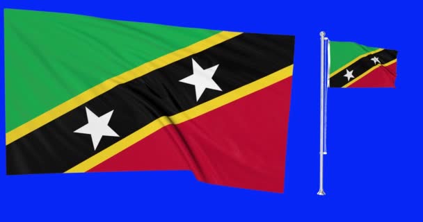 Zielony Ekran Saint Kitts Nevis Dwie Flagi Machające Kittitian Nevisian — Wideo stockowe