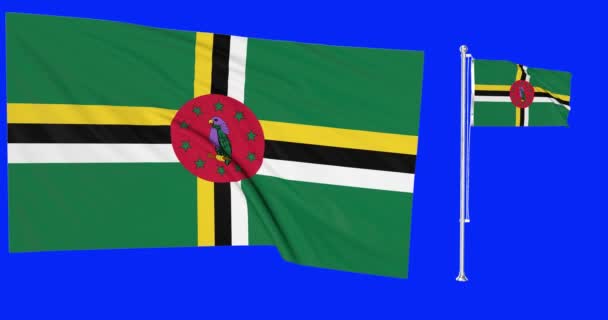 Зеленый Экран Петля Доминики Два Флага Размахивая Доминиканский Флагшток Анимации — стоковое видео