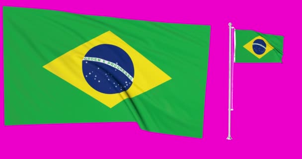 Lazo Pantalla Verde Brasil Dos Banderas Ondeando Animación Brasileña — Vídeo de stock