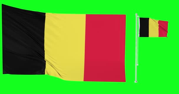 Green Screen Belgium Two Flags Waving Belgian Flagpole Animation Chroma — Stock Video