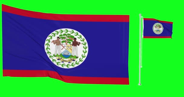 Zelená Obrazovka Belize Dvě Vlajky Mávání Belizean Flagpole Animace Chroma — Stock video