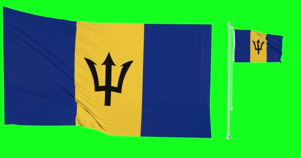Groene Scree Lus Van Barbados Twee Vlaggen Zwaaien Eiland Vlaggenmast — Stockvideo