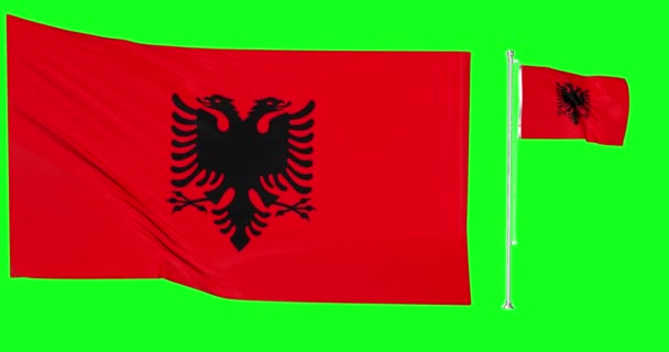 Green Screen Albanien Zwei Flaggen Wehen Albanische Flaggenmast Animation Chroma — Stockvideo