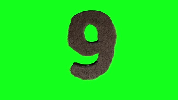 Αφηρημένη Τριχωτό Αριθμό Εννέα Σημάδι Χνουδωτό Τριχωτό Ψηφίο Πράσινη Οθόνη — Αρχείο Βίντεο