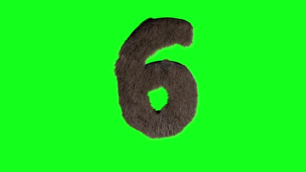 Αφηρημένο Τριχωτό Αριθμό Έξι Σημάδι Χνουδωτό Τριχωτό Ψηφίο Πράσινη Οθόνη — Αρχείο Βίντεο