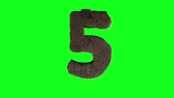 Αφηρημένο Τριχωτό Αριθμό Πέντε Σημάδι Χνουδωτό Τριχωτό Ψηφίο Πράσινη Οθόνη — Αρχείο Βίντεο