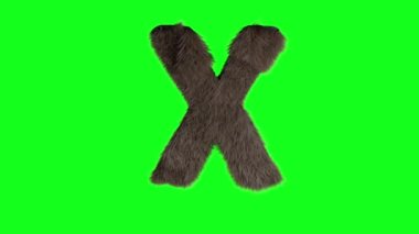 Soyut kıllı harf X tüylü tüylü alfabe yeşil ekran rengi anima işareti
