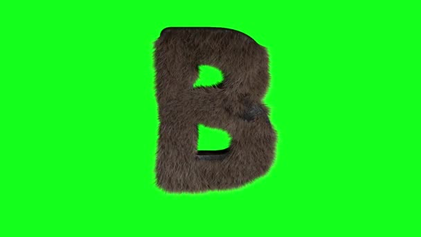 Abstract Hairy Letter Sign Fluffy Furry Alphabet Green Screen Chroma — Stock Video