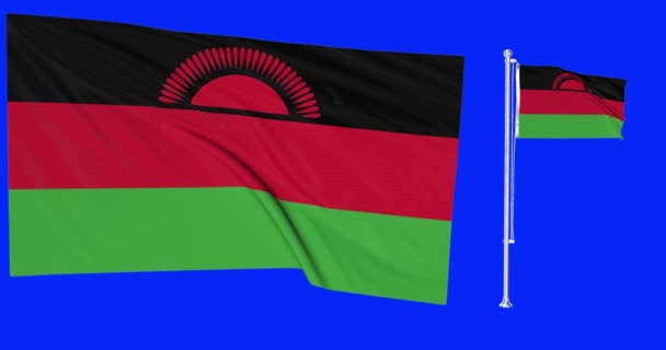 Tela Verde Malawi Duas Bandeiras Acenando Malawian Flagpole Animação Chave — Vídeo de Stock