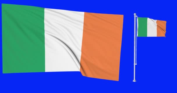 Zielony Ekran Pętli Irlandii Dwie Flagi Machające Irlandzką Flagą Animacja — Wideo stockowe