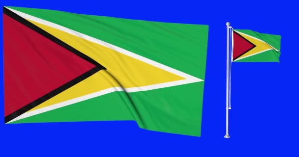 Groen Scherm Guyana Twee Vlaggen Zwaaien Guyanese Vlaggenmast Animatie Chroma — Stockvideo