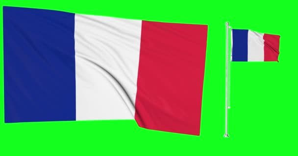 Yeşil Ekran Fransa Iki Bayrak Sallanıyor Fransız Bayrak Direği Animasyonu — Stok video