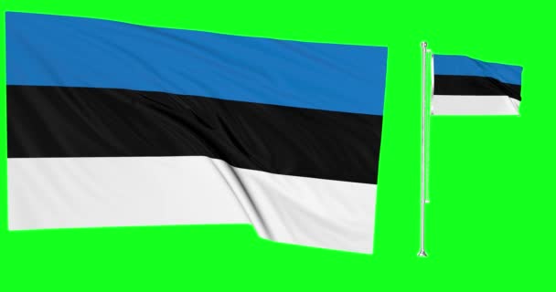 Grüner Bildschirm Estland Zwei Flaggen Schwenken Estnische Flaggenmast Animation Chroma — Stockvideo