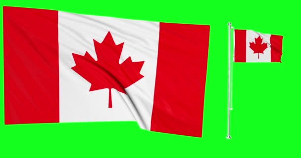 Canada Animación Dos Banderas Verde Pantalla Canadiense Asta Bandera — Vídeos de Stock