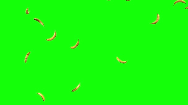 Regen Bananen Früchte Fallen Auf Dem Grünen Bildschirm Oder Chroma — Stockvideo