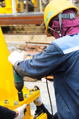 kullanılan işçi tembul fındık