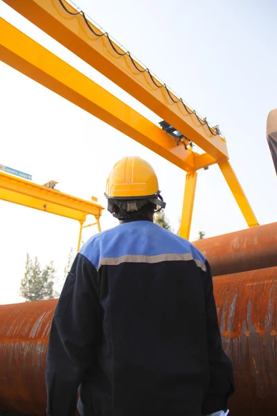 Derrière de l'homme regarder les grues — Photo