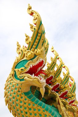 Kral Nagas beyaz arka plan üzerinde