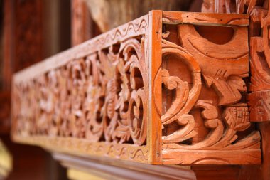 Çevre odak Ajur modeli