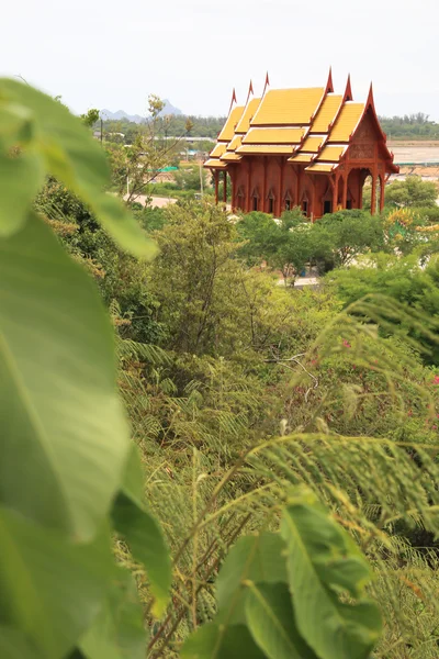Tempel met groene boom voorgrond — Stockfoto