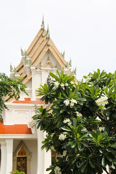 Temple avec arbre au premier plan — Photo