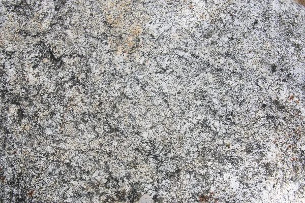 Textura de piedra blanca —  Fotos de Stock