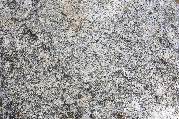 Textura de piedra blanca — Foto de Stock