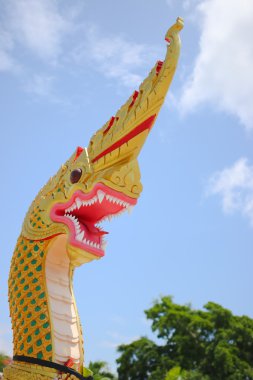 Altın Kral Nagas mavi