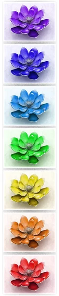 Chakra lotusbloemen — Stockfoto