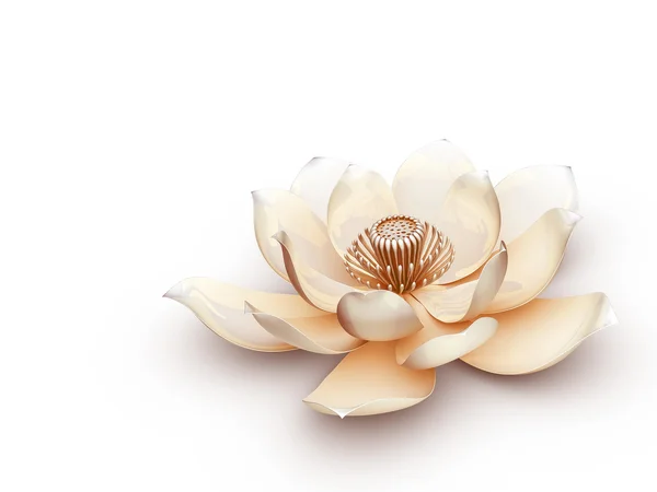 Lotus Flower — Stock Photo, Image