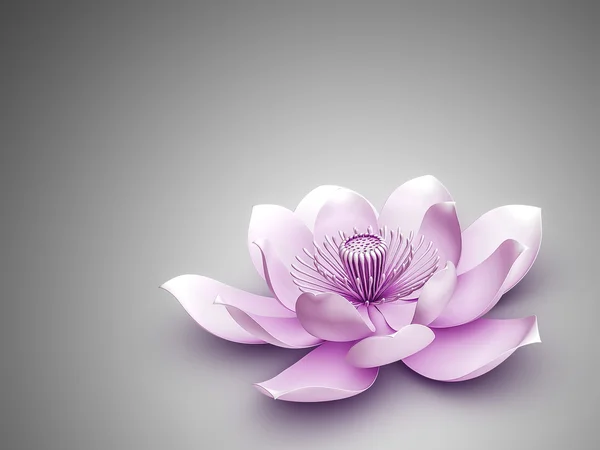 Lotus fleur — Photo