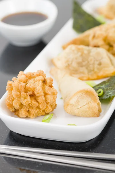 Fried Asya aperatifler — Stok fotoğraf