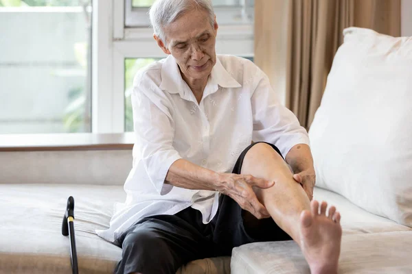 Asian senior woman hold her leg suffering from pain in legs,elderly patient have cramps in her calves,massage the calf by hands or beriberi in the leg,old people getting numb after sitting for so long — Stock Image Asian Senior Woman Hold Her Leg Suffering Pain Legs Elderly Stock Picture