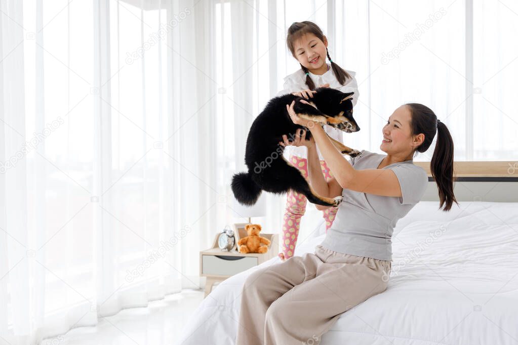 Asian mother and daughter playing with their dog in bedroom. Mother lift black Shiba Inu.