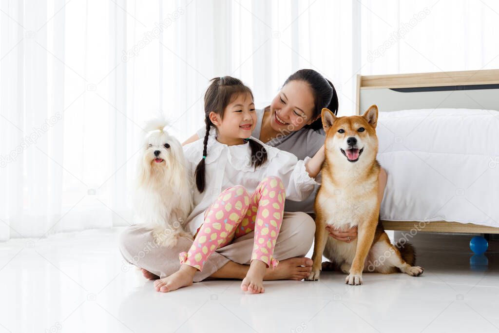 Happy Asian mother and daughter sitting on bedroom floor with Maltese and Shiba Inu.