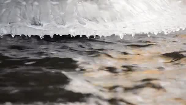 Frozen River Flow with Icicles — Stock Video