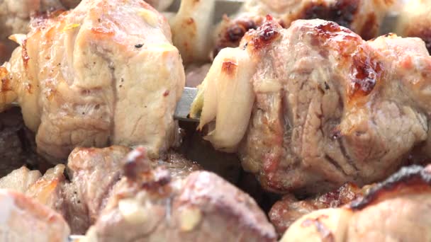 烧烤用烤架上烤的肉质鲜美。烧烤聚会 — 图库视频影像
