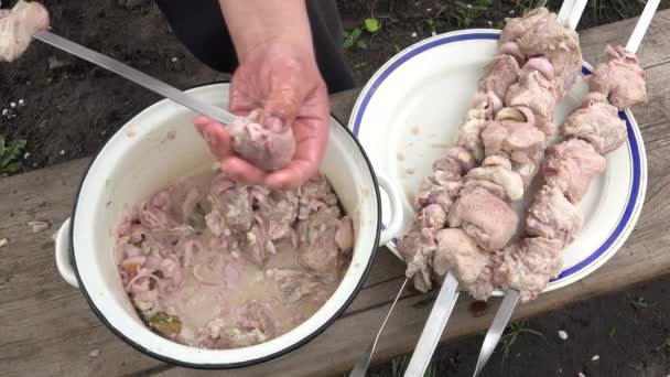 Barbacoa con deliciosa carne a la parrilla en la parrilla. Fiesta de barbacoa — Vídeos de Stock