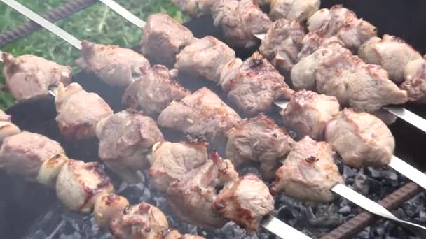 Grill mit leckerem Grillfleisch auf dem Grill. Grillparty. Zoomen — Stockvideo