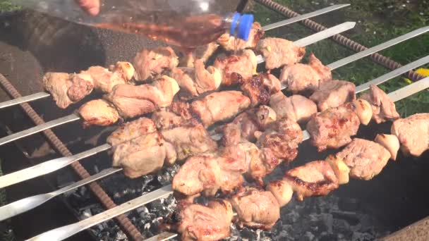 Barbecue met heerlijk gegrilde vlees op de Grill. Barbecue Party. Zoomen — Stockvideo