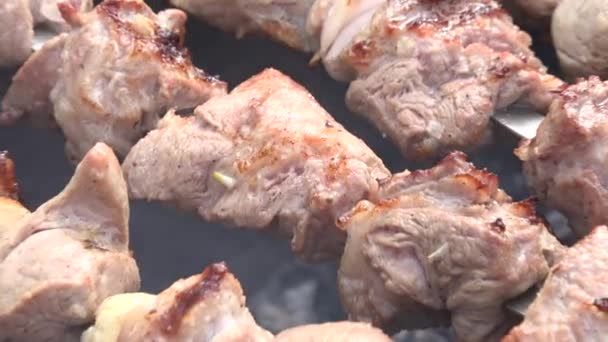 Churrasco com deliciosa carne grelhada na grelha. Festa de churrasco. Zumbido — Vídeo de Stock